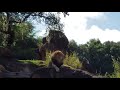 Lion Roar Disney World Animal Kingdom