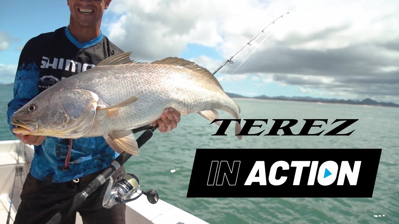 Shimano Terez Rod video thumbnail