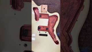 #guitar #guitarist #metal #fender #guitarsolo #guitarrista #music #rock #daddario #live #metallica