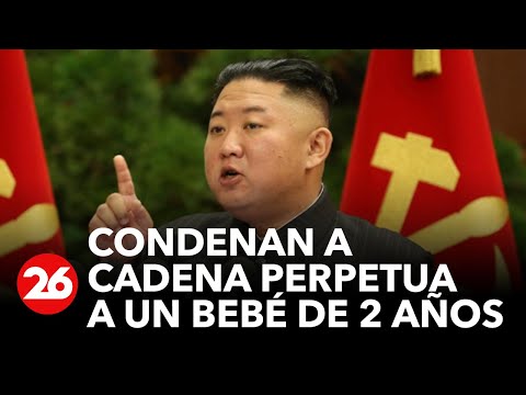 North Korea: Two-year-old baby sentenced to life in prison because his family possessed a Bible