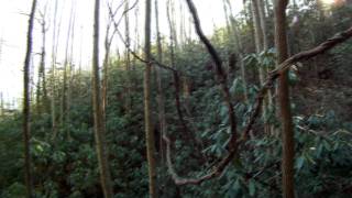 preview picture of video '195± Acres Buffalo Cove Area, Caldwell Co NC - SOLD!!'