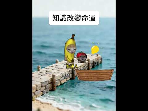 【😺CatDramaCorner】知識改變命運 #cat #貓meme小劇場 #00後 #shorts #shortvideo  #funny cat videos
