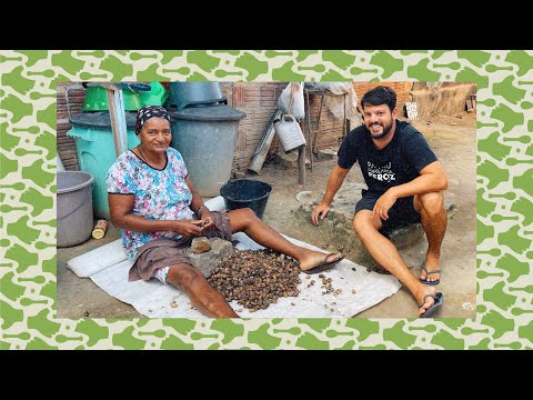 Comendo LARVA VIVA 🐛 e conhecendo uma QUEBRADEIRA 💥 de LICURI | COOKING IN VILLAGE