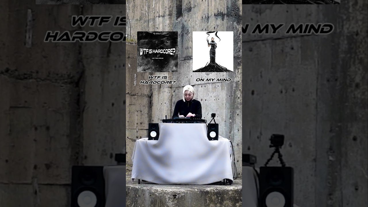 WTF is hardcore #dj #rave #hardtechnodj #techno #hardtechno #victorkrum #saralandry #alexfarell