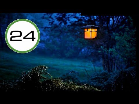 SONIDO de GRILLOS🐜🐜 y PÁJAROS🐤🐦 para DORMIR💤Profundamente. Sonido de la Naturaleza 🌍 100% REAL