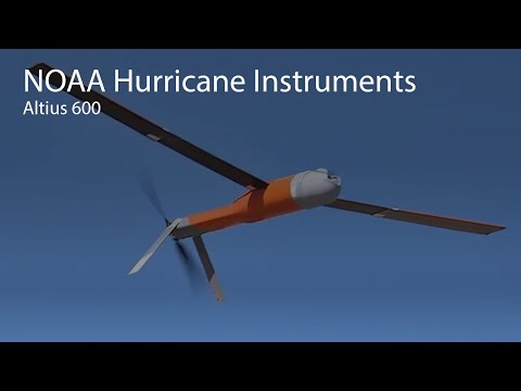 Noaa Alta