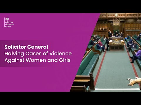 Solicitor General's Questions - Commitment to Halve Cases of Violence Against Women and Girls