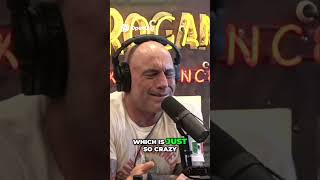 Download lagu Unsung 90s Voice  Martha Walsh's Untold Story #youtubeshorts #jre #nextgenai mp3