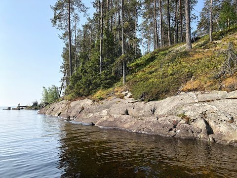 Карелия 2019 июнь Сегозеро