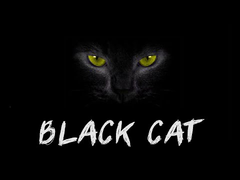 Черный кот минус