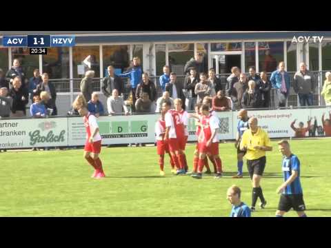 Samenvatting ACV-HZVV