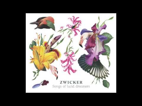 Zwicker - Who You Are (feat. Heidi Happy)
