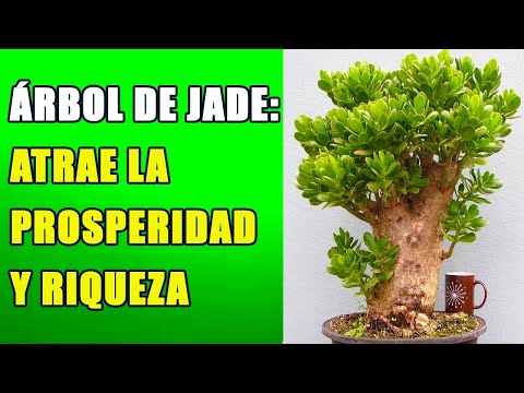 , title : 'El Árbol de Jade: Atrae la Prosperidad y Riqueza'