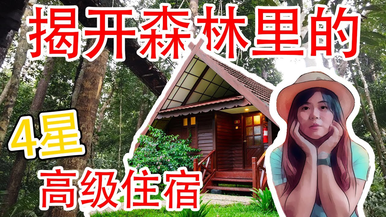 CMCO旅行【瓜拉大汉彭亨国家公园】✨比亚马逊还古老🔥揭开🌟四星级高级住宿｜森林里和原住民学习钻木取火&打猎🪓
