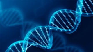What Your DNA says about your Health, Traits and Ancestry...