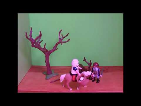 Stop motion van het boek "De Tweelingbroers" van Tonke Dragt