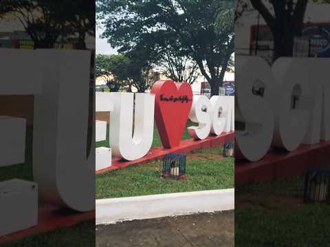 Santa Cruz de Monte Castelo PR #decaronacomolaeana #shorts