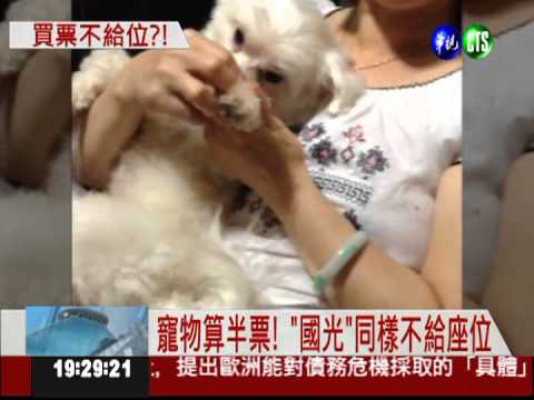 寵物須買票上車 客運竟不給座位!