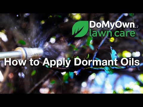  How to Use Dormant Oils - Tree & Shrub Care Video 