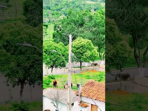 Minas Gerais 🌳❤️ #minasgerais #lugaresdeminas #novaserrana