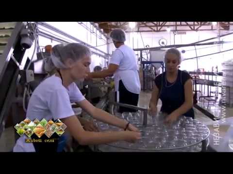 U toku sezona prerade voća i povrća – prerađivači osavremenili pogone