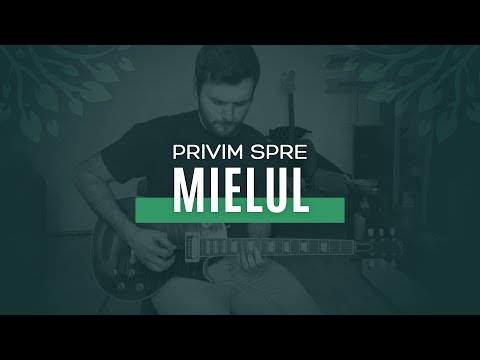 Privim spre Mielul - Biserica Bunavestire