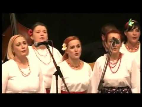 OJ, VERŠE MOJ, VERŠE - Dzivocka špivacka grupa RKC, Novi Sad