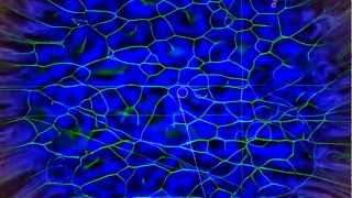 11. Playin -} Stronger Than Dirt or Milkin The Turkey - Grateful Dead - 7/16/76 SF - U31DoD 12 Ed