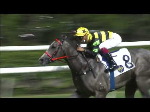 29/6/2022 (783) Dragon Kingdom - K Teetan