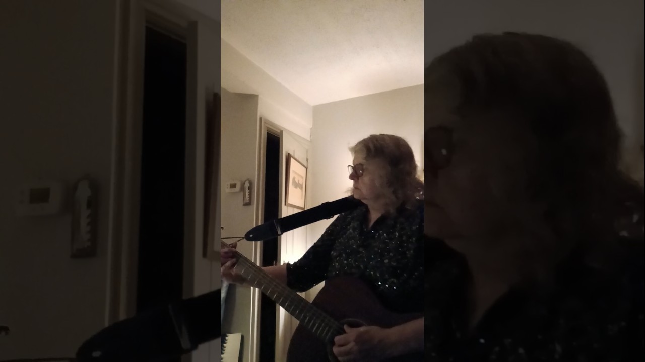 Promotional video thumbnail 16 for Lynne Hamer Jazz Trio