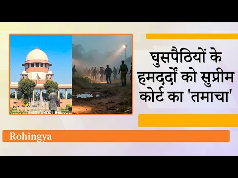 Rohingya समर्थकों को Supreme Court ने लगाई फटकार, पूछा- क्या घुसपैठियों का लाल कालीन से स्वागत करें Rohingya समर्थकों को Supreme Court ने लगाई फटकार, पूछा- क्या घुसपैठियों का लाल कालीन से स्वागत करें