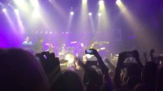 The Revolution - Let&#39;s Go Crazy