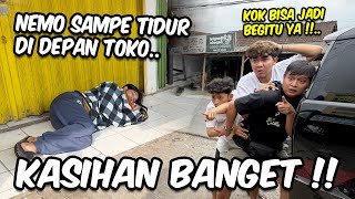 Download lagu THE REASON NEMO CHOOSES TO SLEEP ON THE SHOP'S VERSO!! I swear I feel so sorry for him. mp3