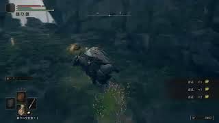 エルデンリングをやる