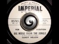 SANDY NELSON - BIG NOISE FROM THE JUNGLE (IMPERIAL)