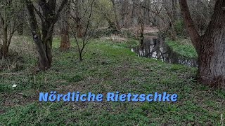 Nördliche Rietzschke