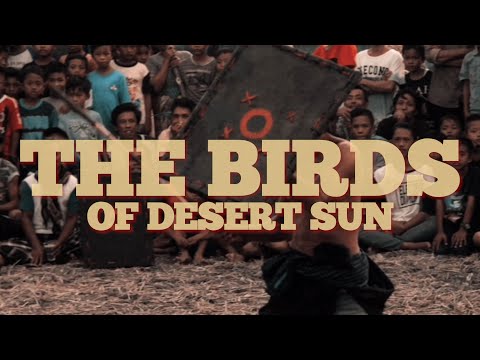 The Birds Of Desert Sun - Nikolaus Wolf (Album Teaser)