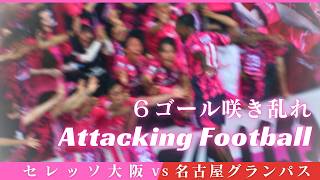 【セレッソ観戦Vlog】衝撃のゴールラッシュ！６ゴール咲き乱れ🌸ホーム最終戦でアタッキングフットボールが炸裂！セレッソ大阪vs名古屋グランパス
