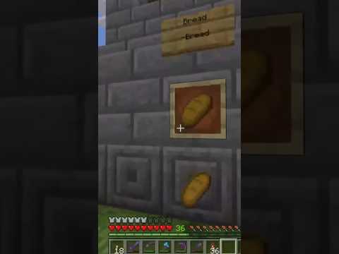 "Unbelievable Power of Bread in Shmigg SMP" #minecraftmemes