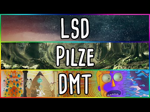 LSD vs Mushrooms vs DMT - the comparison!