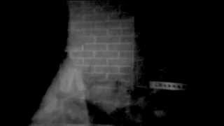 Like Hendrix - Tax free