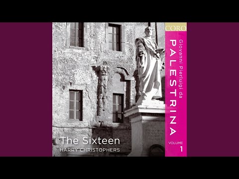 Salve Regina: Salve Regina