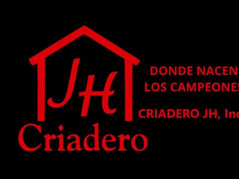 Poseidón de JH ~ Gran National 2019