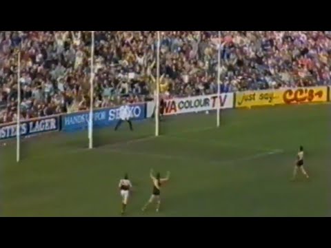 Michael Roach goal vs Essendon 1986