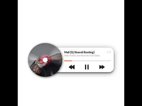 Dlala Thukzin , Zee Nxumalo - Mali Feat Sykes (Dj Sbandi Bootleg)