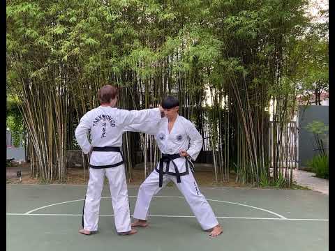 Johwa Taekwon-Do One Step Sparring - Hand Techniques