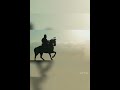 Maharana Pratap Whatsapp Status Veer Tu Tribute To Maharana Pratap