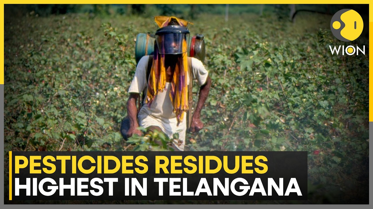 Pesticide Shock: Telangana Records Highest Residues In Fruits & Vegetables | WION