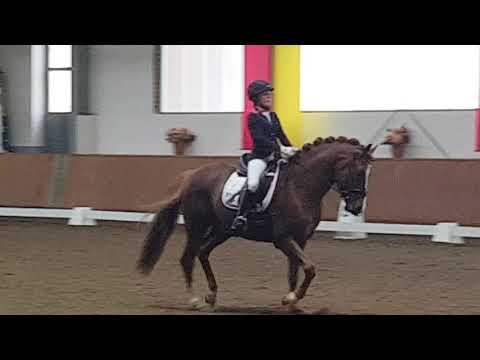 Vechta Turnier März mit Daily FEI❤