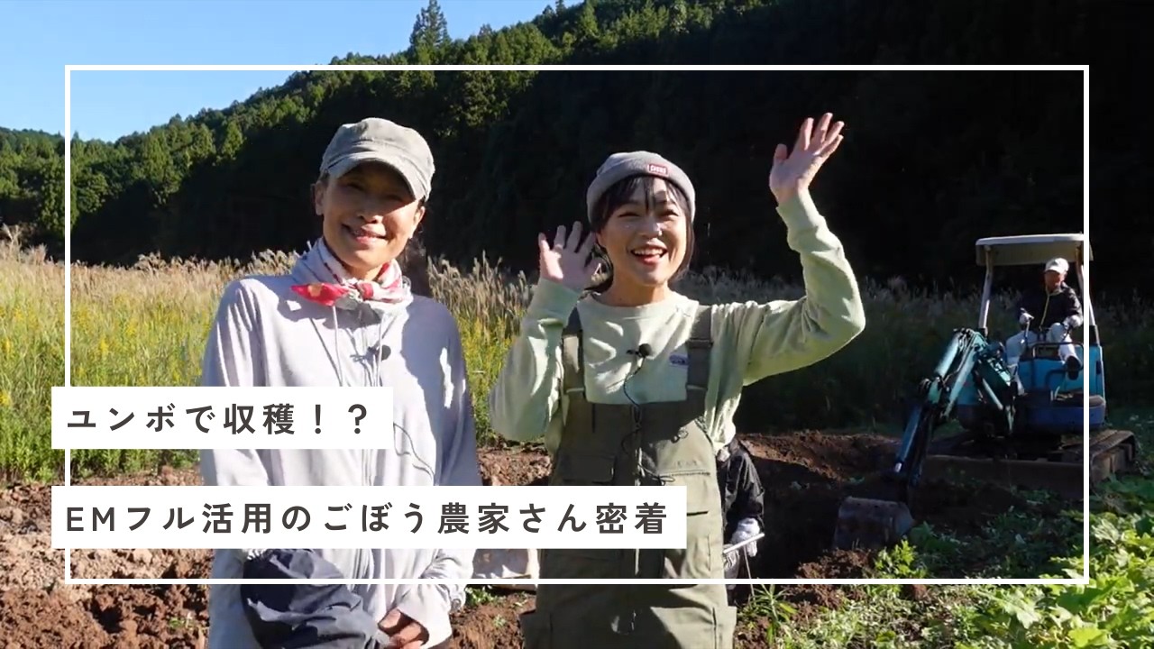 ユンボで掘る！？EMフル活用のごぼう農家に密着【山口・秋吉台カルスト台地の麓】